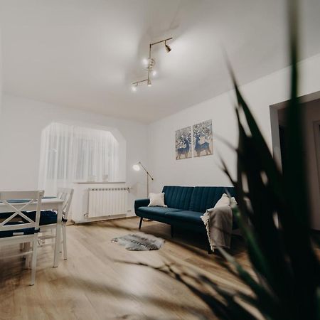 Apartamentul Albastru Vatra Dornei Exteriör bild