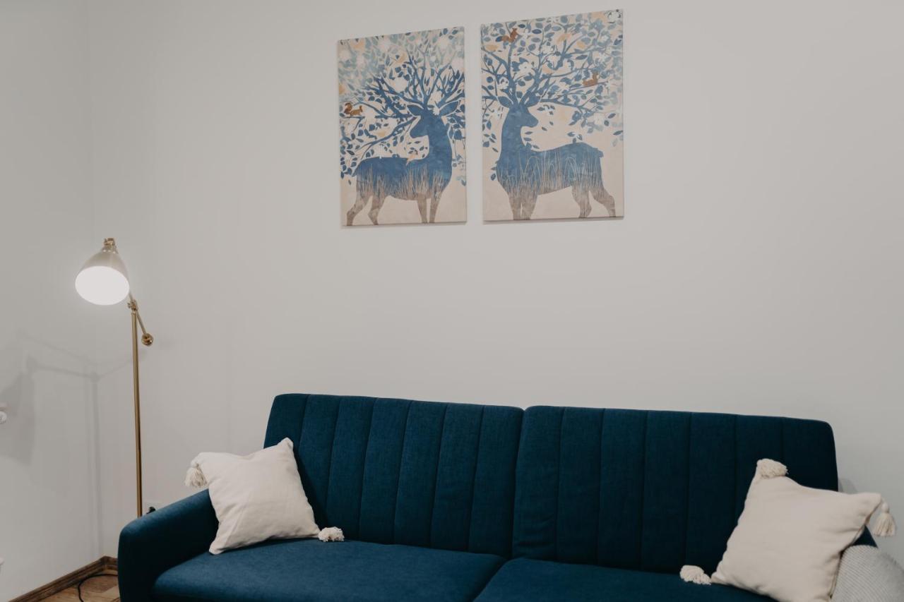 Apartamentul Albastru Vatra Dornei Exteriör bild